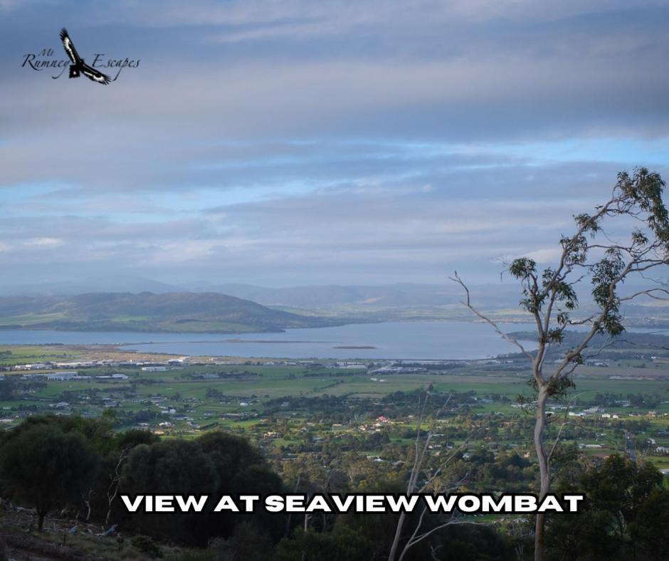 Mount Rumney Escapes - 3 Seaview Wombat House エクステリア 写真