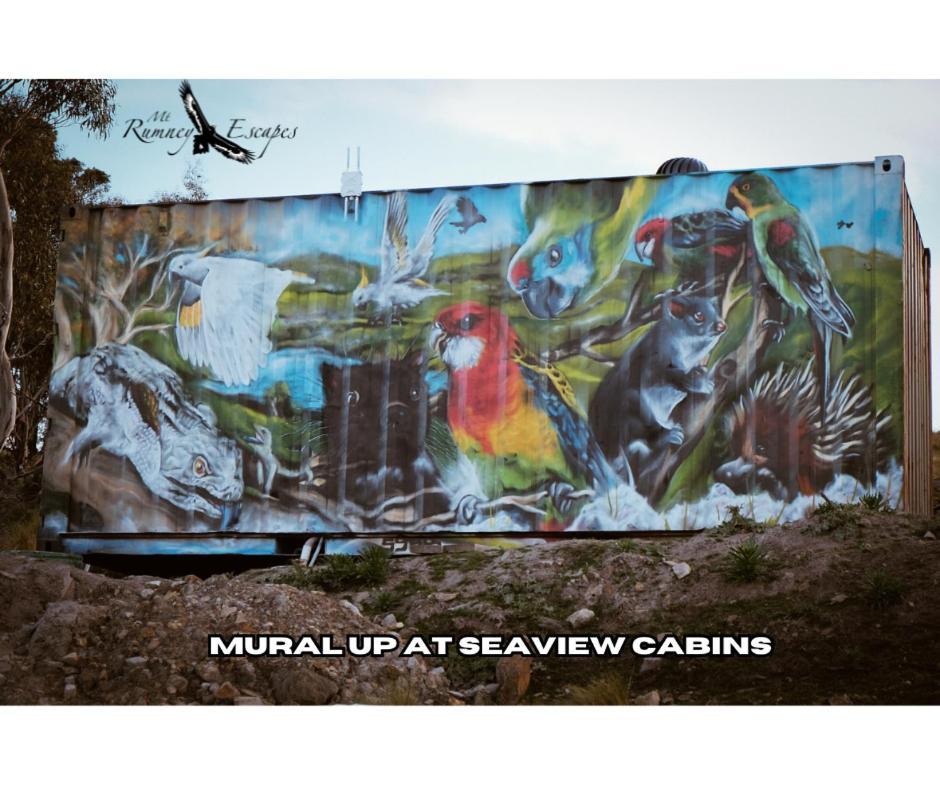 Mount Rumney Escapes - 3 Seaview Wombat House エクステリア 写真